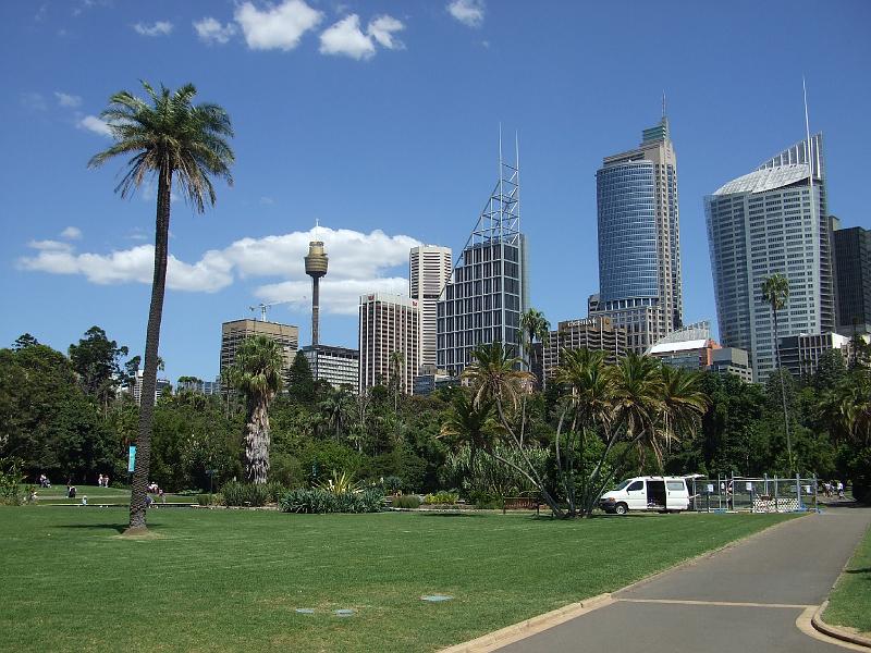 Sydney (5)
